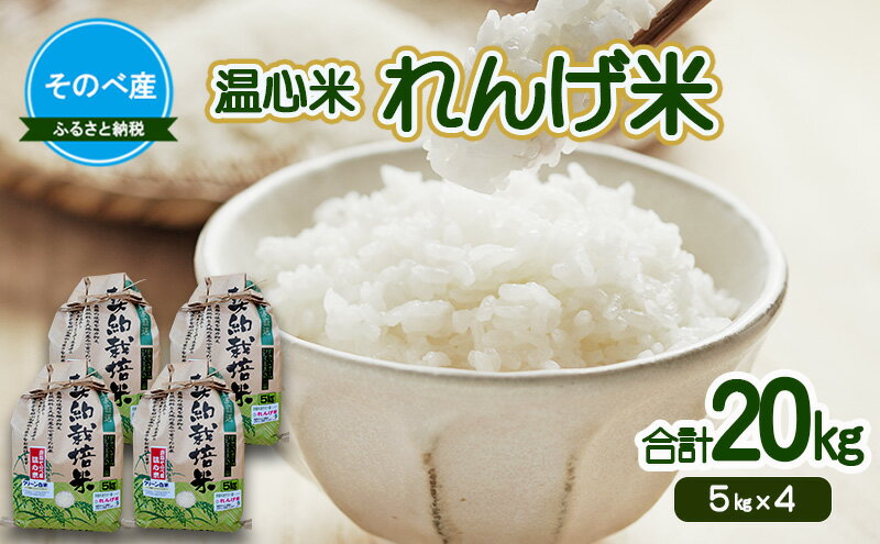 【ふるさと納税】れんげ米20kg(5kg×4) 令和7年度産　そのべ産 温心米 20kg　お米 単一原料米 こしひかり 丹波 精米 白米 こめ コメ 京都 - 画像2