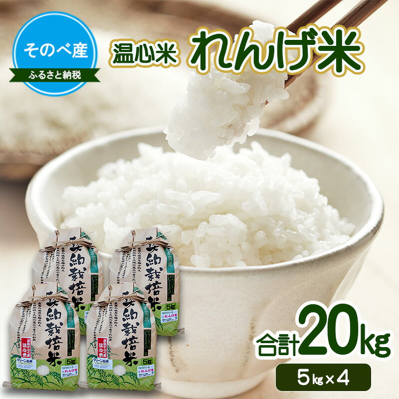 れんげ米20kg(5kg×4) 令和7年度産　そのべ産 温心米 20kg　お米 単一原料米 こしひかり 丹波 精米 白米 こめ コメ 京都