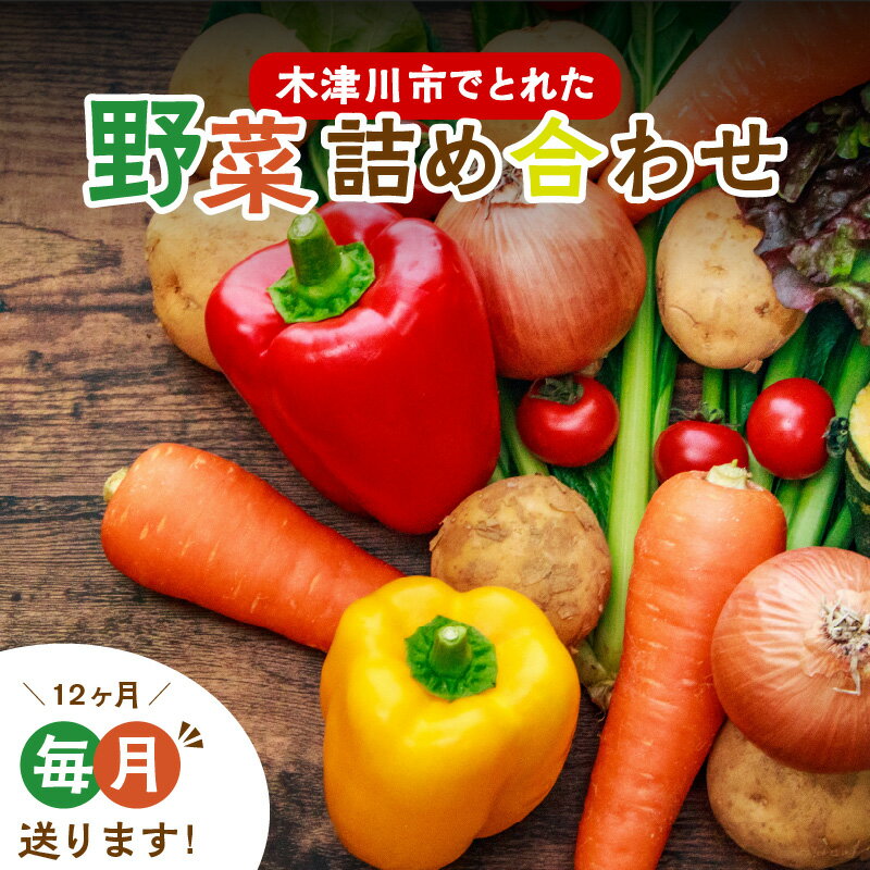 ＜京都産＞木津川市でとれた野菜詰め合わせを12か月毎月送ります！ 野菜セット 季節の野菜 新鮮 JA京都やましろ農産物直売所 木津店