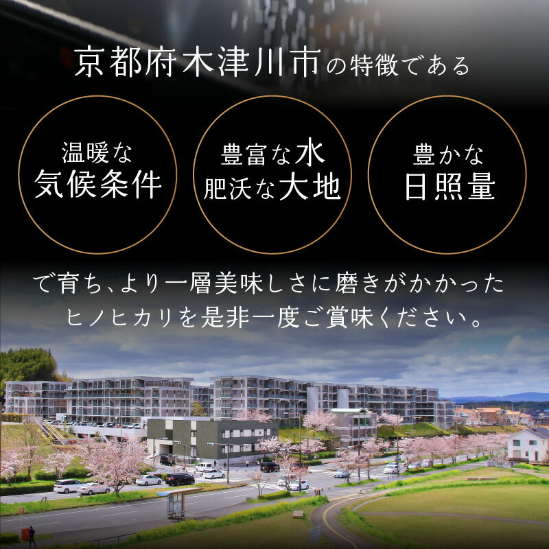 【ふるさと納税】 【お米定期便】京都府木津川市産ひのひかり お米 選べる回数・容量(20kg・30kg・60kg) 毎日の健康に(特別栽培米) 精米 ヒノヒカリ 米 こめ コメ ご飯 ごはん 2024年 安心 安全 京都米 国産 送料無料 - 画像3
