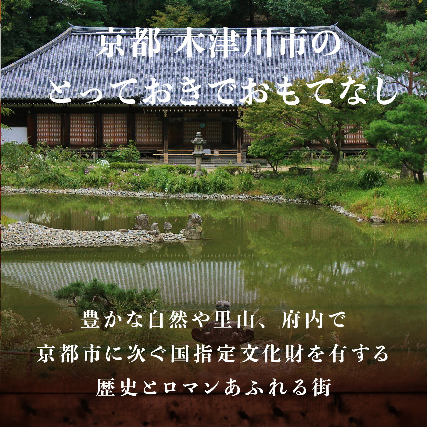 【ふるさと納税】 専門店のとり肉と京ジビエ、京野菜を【東京月島】で味わう1名様イタリアンコースお食事券 チケット ディナー ジビエ 鳥肉 イタリア料理 カルパッチョ月島 - 画像2