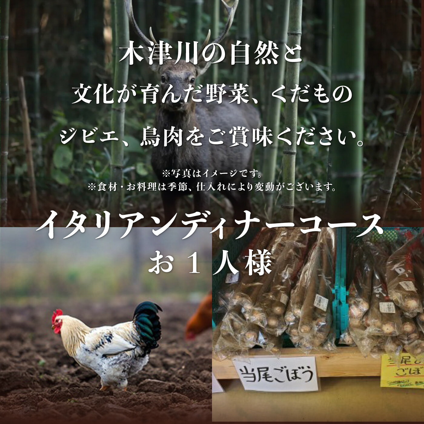 【ふるさと納税】 専門店のとり肉と京ジビエ、京野菜を【東京月島】で味わう1名様イタリアンコースお食事券 チケット ディナー ジビエ 鳥肉 イタリア料理 カルパッチョ月島 - 画像3