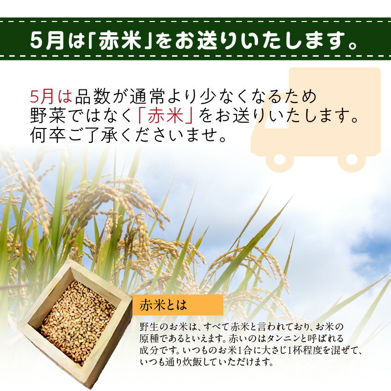 【ふるさと納税】 ＜京都産野菜定期便2回＞自然体な野菜セット - 画像3