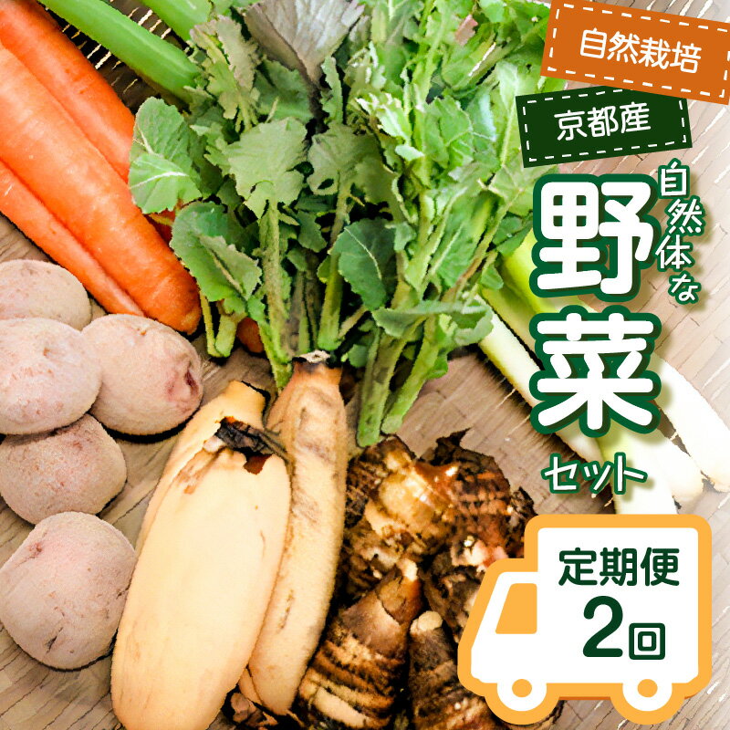 ＜京都産野菜定期便2回＞自然体な野菜セット