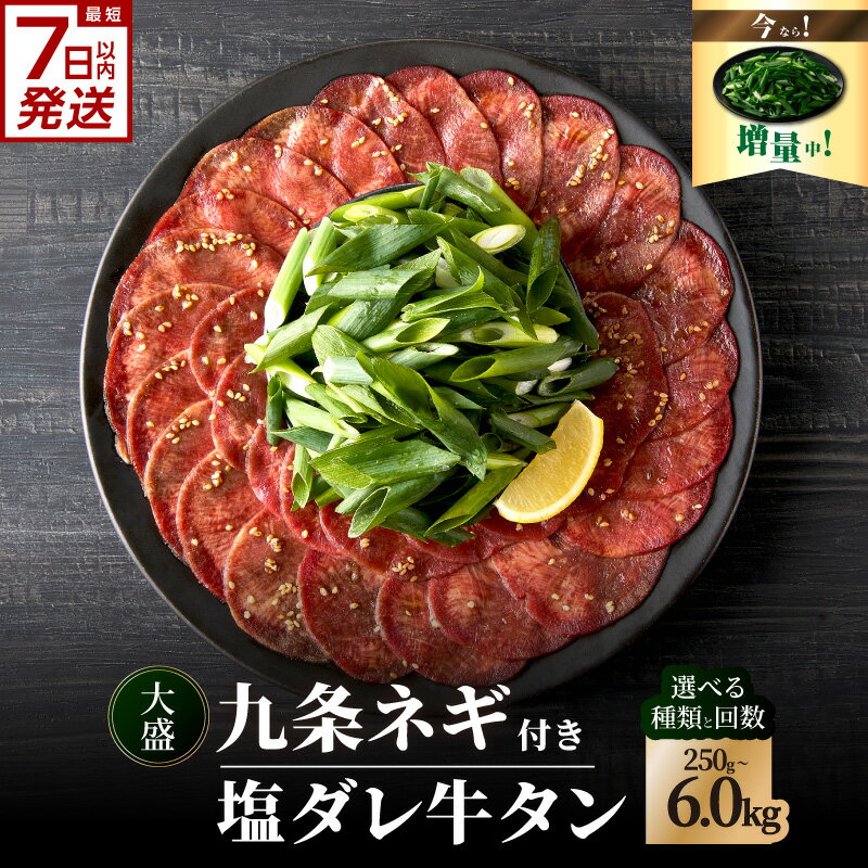 スピード発送！！塩ダレ牛タン 大盛九条ネギ 選べる種類・内容量 （250g・500g・750g） 選べる定期便 （500g×3回・6回・12回） 牛タン 京都九条ネギ 小分け 冷凍 真空パック 薄切りスライス BBQ 京都 牛たん 牛タン塩