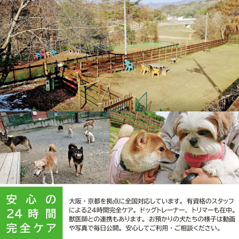 【ふるさと納税】老犬ホーム あん施設利用券（3,000円分） 犬専用総合ケアハウス 愛犬愛護活動 サムネイル3