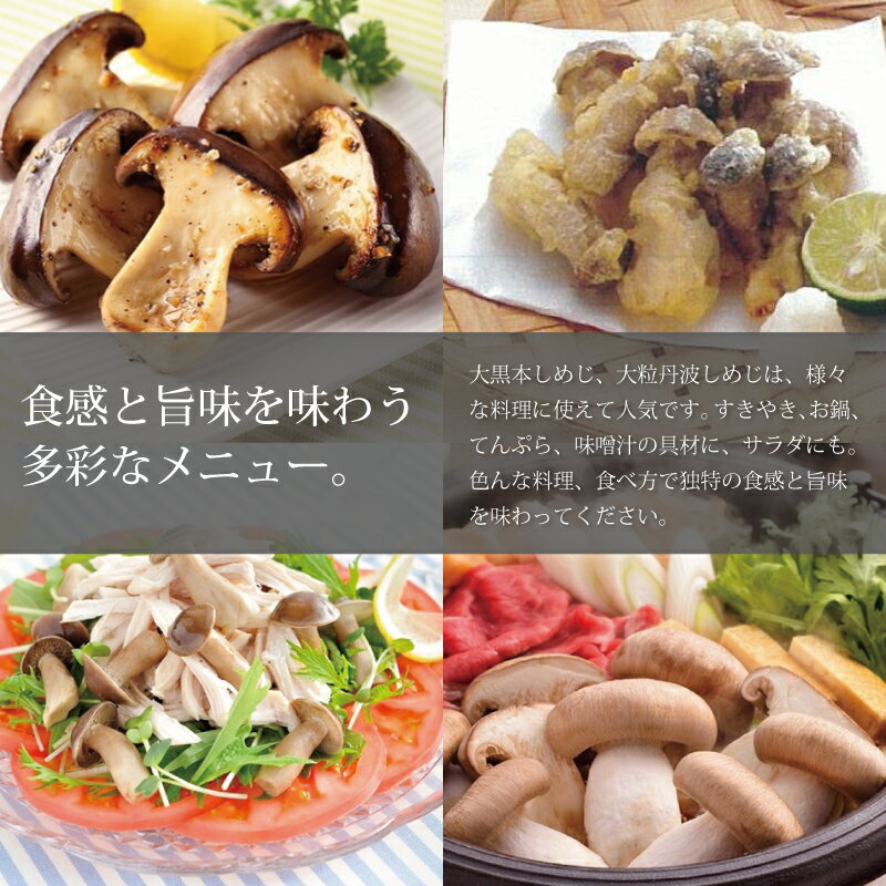 【ふるさと納税】大黒本しめじ 大判 3パックセット （ 国産 京都 きのこ キノコ 丹波 しめじ 食感 シャキシャキ 天ぷら 鍋 炒め物 ） 新生活応援 ※北海道・沖縄・その他離島への配送不可 - 画像3