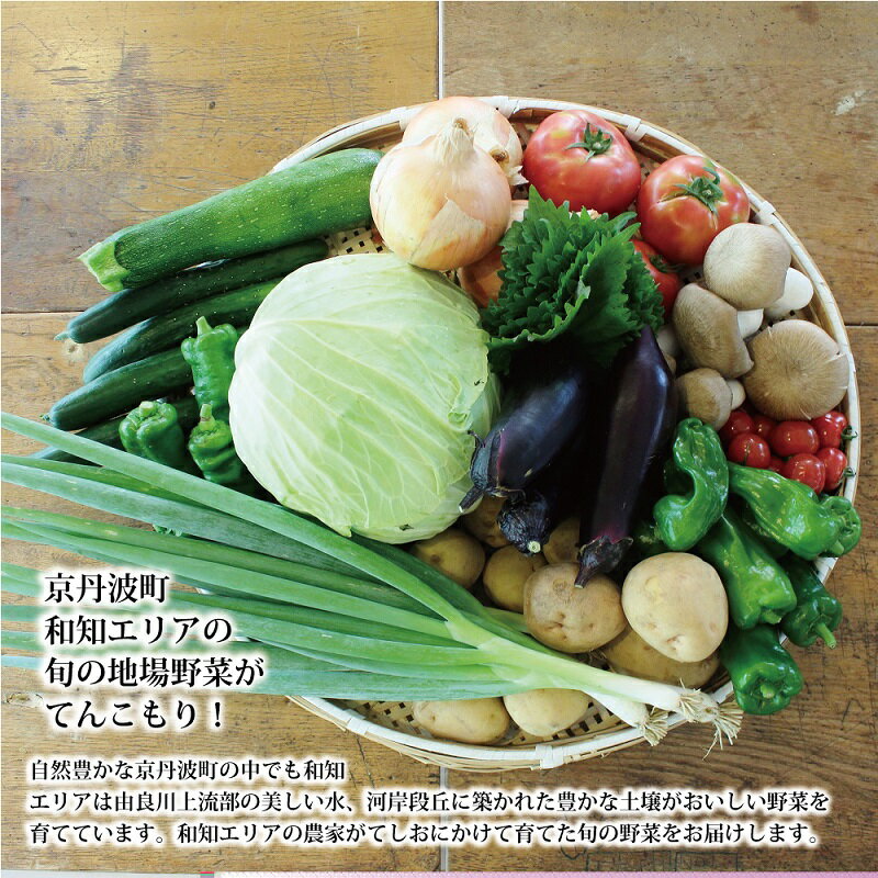 【ふるさと納税】京丹波町和知地区で栽培された旬の地場野菜詰め合わせ　【新鮮 旬野菜 季節の野菜 野菜 京野菜 地元野菜 詰め合わせ セット とれたて おまかせ 野菜セット】 ※北海道・東北・沖縄は配送不可 - 画像2