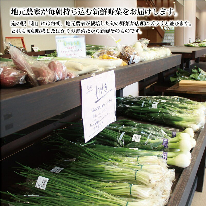 【ふるさと納税】京丹波町和知地区で栽培された旬の地場野菜詰め合わせ　【新鮮 旬野菜 季節の野菜 野菜 京野菜 地元野菜 詰め合わせ セット とれたて おまかせ 野菜セット】 ※北海道・東北・沖縄は配送不可 - 画像3