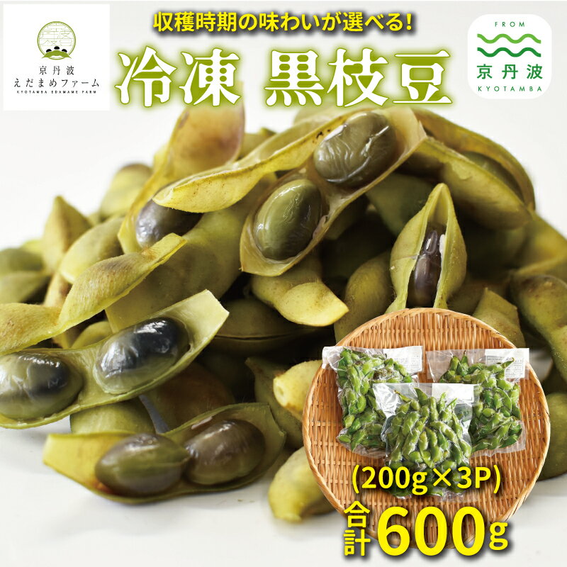 冷凍 丹波黒枝豆 熟成 600g（200g×3パック） 選べる タイプ レギュラー 熟成 【 国産 京都 丹波 黒豆 えだまめ ビール おつまみ ご当地グルメ 特産品 】 ※北海道・沖縄は配送不可