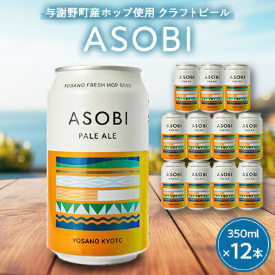 【与謝野町産ホップ使用クラフトビール】 ASOBI(アソビ) 350ml×12本　ペールエール【1248906】