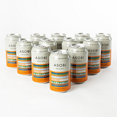 【ふるさと納税】【与謝野町産ホップ使用クラフトビール】 ASOBI(アソビ) 350ml×12本　ペールエール【1248906】 サムネイル2
