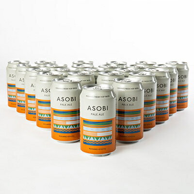 【ふるさと納税】【与謝野町産ホップ使用クラフトビール】 ASOBI(アソビ) 350ml×24本　ペールエール【1248907】 サムネイル2