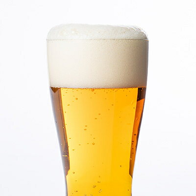 【ふるさと納税】【与謝野町産ホップ使用クラフトビール】 ASOBI(アソビ) 350ml×24本　ペールエール【1248907】 サムネイル3