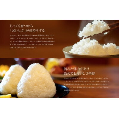 【ふるさと納税】コシヒカリ「京の豆っこ米」精米(5kg/15kg/20kg/30kg)【G1616157】 - 画像2