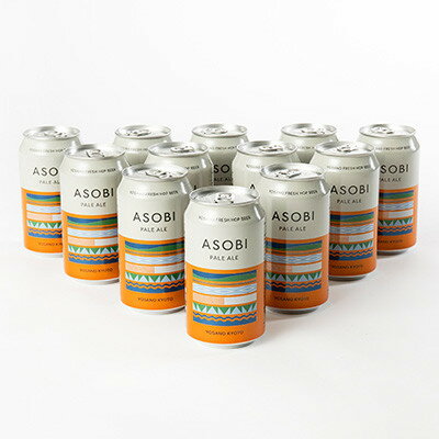 【ふるさと納税】【毎月定期便】【与謝野町産ホップ使用クラフトビール】 ASOBI　350ml ×12本セット全6回【4058786】 サムネイル2