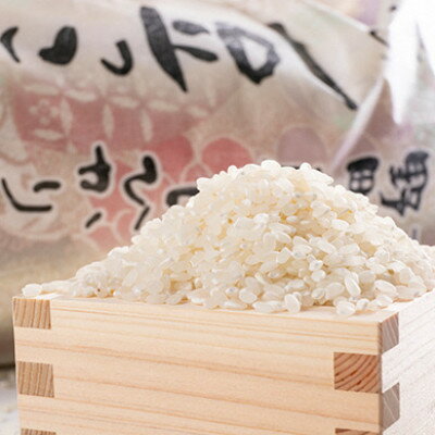 【ふるさと納税】令和7年産米　京都与謝野町産コシヒカリ「京の豆っこ米」精米10kg　【高島屋選定品】【1561125】 - 画像2