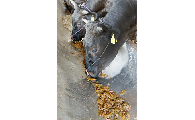 【ふるさと納税】大阪ウメビーフ　ローススライス　350g サムネイル2