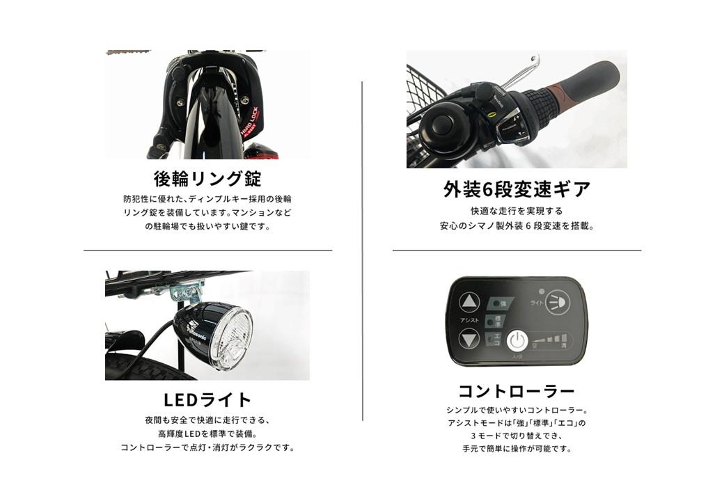 【ふるさと納税】PELTECH（ペルテック）ノーパンク 折り畳み電動アシスト自転車 20インチ 折り畳み外装6段変速 （TDN-212LN）【簡易組立必要】 サムネイル3