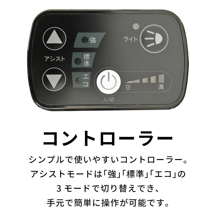 【ふるさと納税】PELTECH（ペルテック）ノーパンク 折り畳み電動アシスト自転車 20インチ 折り畳み外装6段変速（TDN-206LN）【簡易組立必要】 サムネイル3