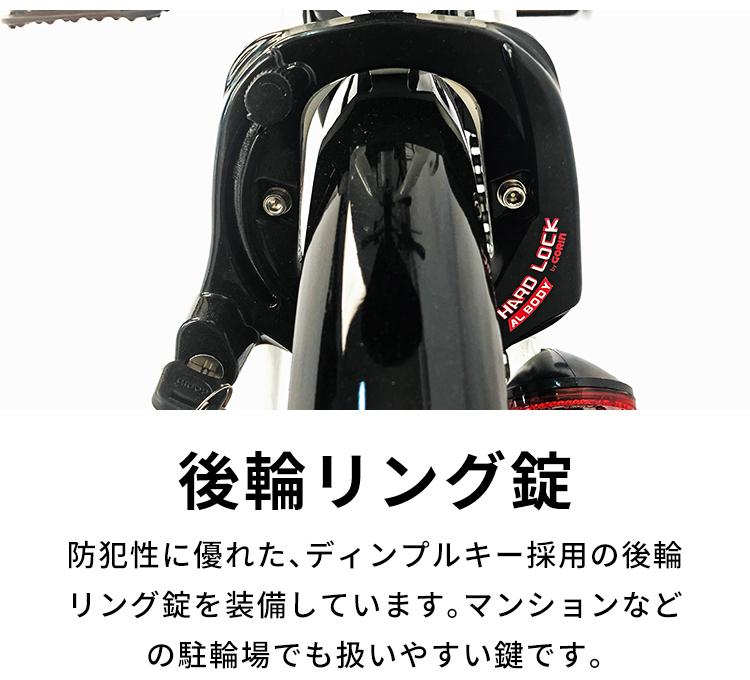 【ふるさと納税】PELTECH（ペルテック）ノーパンク 折り畳み電動アシスト自転車 20インチ 折り畳み外装6段変速（TDN-206LN）【簡易組立必要】【 自転車 電動アシスト 電動自転車 折りたたみ自転車 ノーパンクタイヤ サイクリング アウトドア スポーツ 大阪府 堺市】 - 画像3