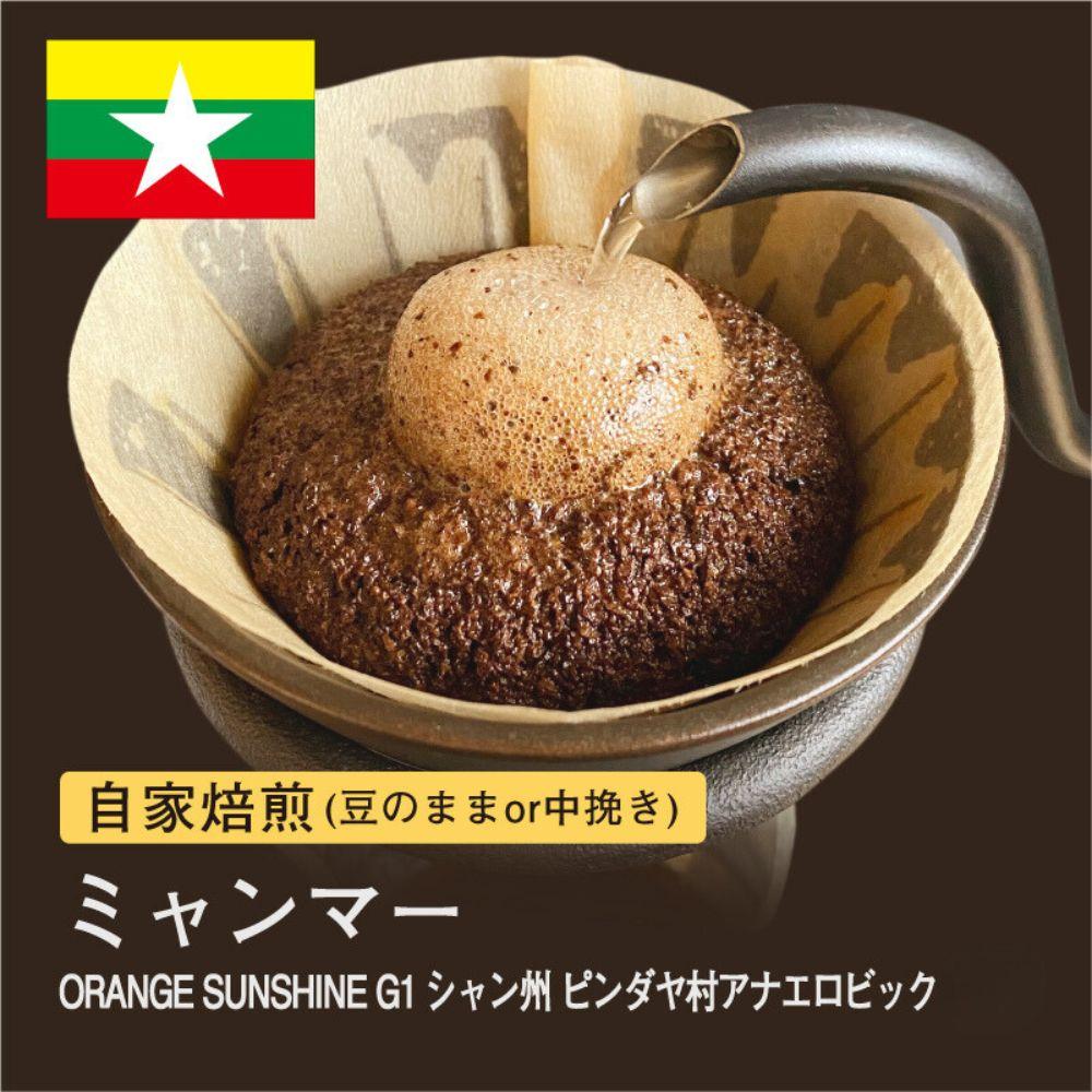【ふるさと納税】自家焙煎コーヒー！ #180 310g ミャンマー ORANGE SUNSHINEG1 シャン州 ピンダヤ村 珈琲（豆または中挽きから選択）