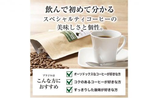 【ふるさと納税】珈琲 スペシャルティーコーヒー豆 ブラジル カルモデミナス Qグレード 600g（豆または中挽きから選択） サムネイル2