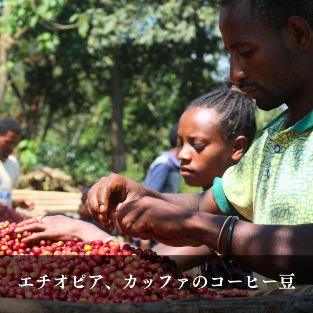 【ふるさと納税】ガルテンビコーヒー ドリップバッグ　30個 | 珈琲 飲料 ドリップ ソフトドリンク 人気 おすすめ 送料無料 サムネイル3