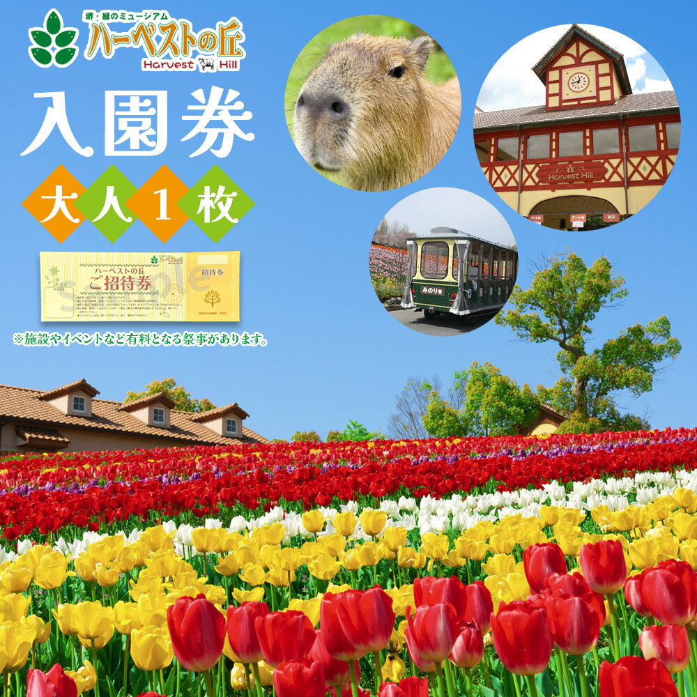 【ふるさと納税】ハーベストの丘入園券　大人