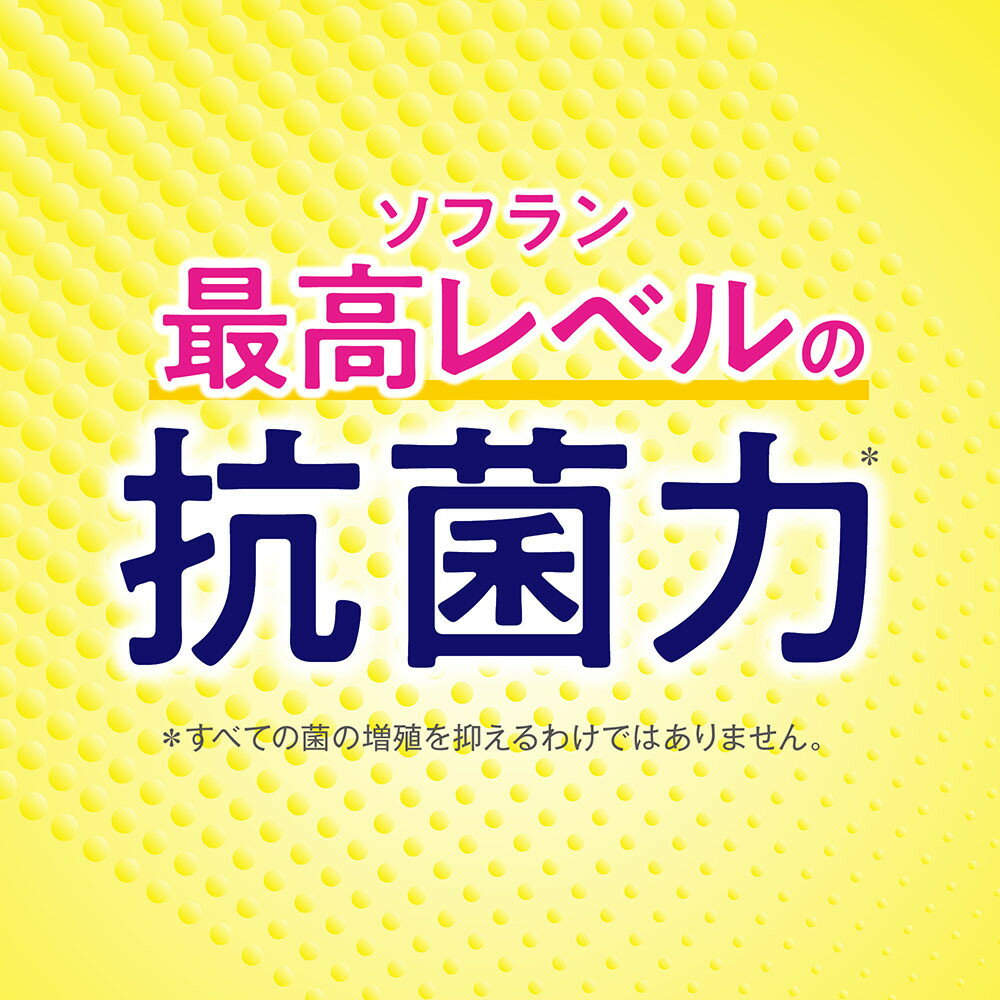 【ふるさと納税】ライオン「ソフランプレミアム消臭」（ソープの香り）本体・替セット（510g×2本＋380g×10袋） ＼レビューキャンペーン対象商品／ | 柔軟剤 洗剤 洗濯 ソフラン プレミアム 消臭 洋服 消耗品 日用品 詰め替え つめかえ 詰替 おすすめ 人気 送料無料 サムネイル3