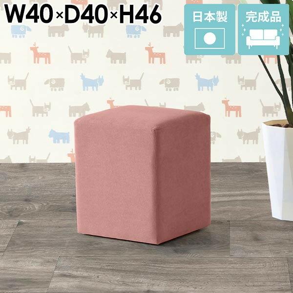 【ふるさと納税】arne　Cube’s L40 ソフィア