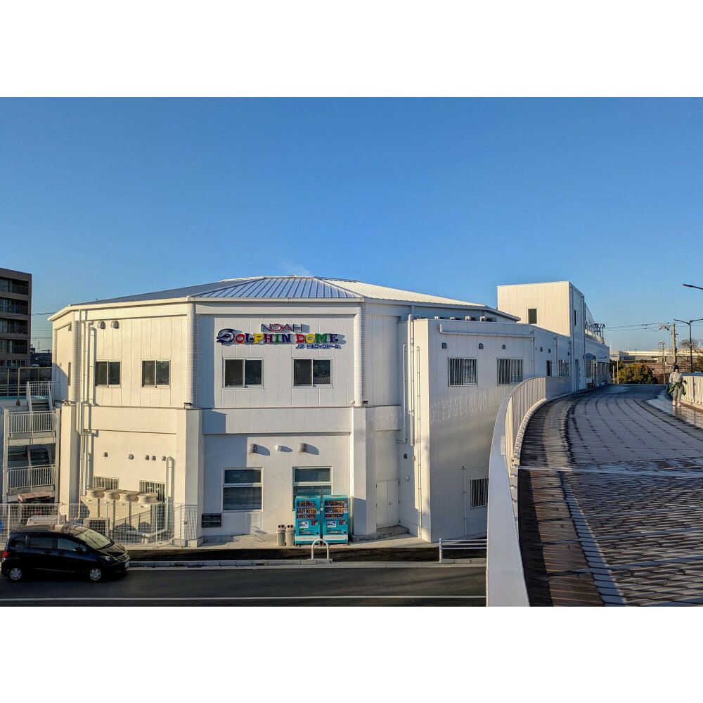 【ふるさと納税】ノアドルフィンドーム　浅瀬でイルカと遊ぶ体験 ペア入場券付 - 画像2