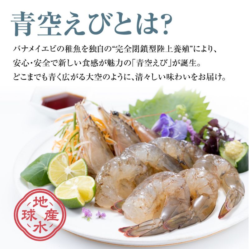【ふるさと納税】 青空えび（和名：シロアシエビ）3パック入り / 海老 えび サムネイル3