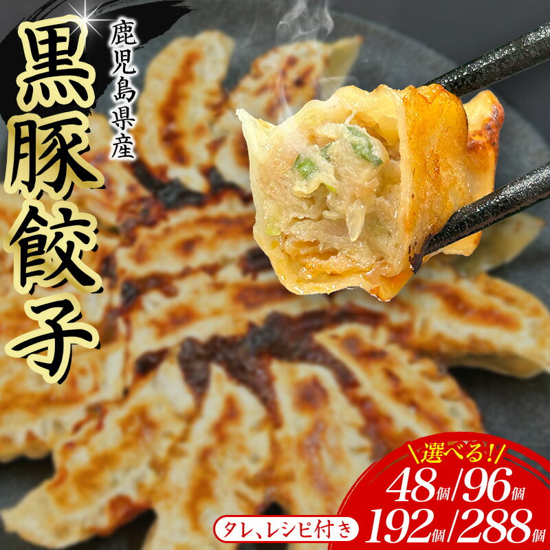【ふるさと納税】餃子 48~288個 冷凍 小分け 選べる 黒豚餃子 ぎょうざ ギョーザ 豚肉 家族 子ども 弁当 中華 惣菜 大容量 人気 ランキング 美味しい おいしい 焼き餃子 揚げ餃子 ふるさと納税餃子