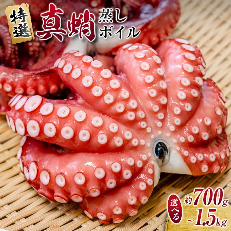 【ふるさと納税】 たこ 真蛸 蒸しボイル 約700g～約1.5kg 1尾～3尾 冷蔵 蛸 タコ 刺身 刺し身 たこ焼き たこやき たこ飯 たこ刺し カルパッチョ 酢の物 まだこ サラダ パスタ 唐揚げ 人気 おすすめ おつまみ 海鮮 魚介【配送不可地域：北海道・沖縄・離島】