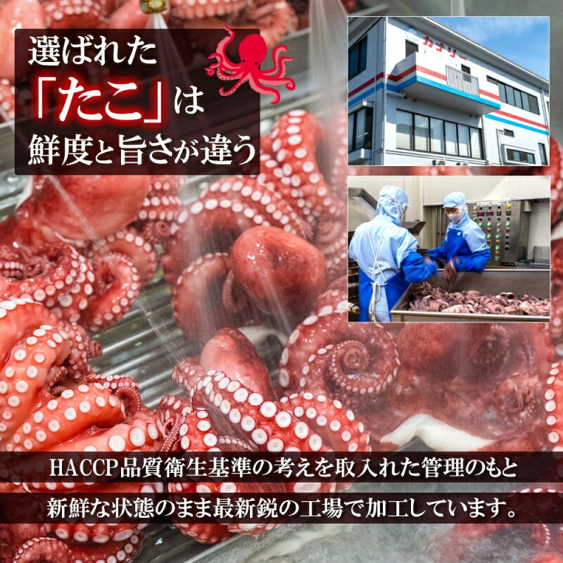 【ふるさと納税】 たこ 真蛸 蒸しボイル 約700g～約1.5kg 1尾～3尾 冷蔵 蛸 タコ 刺身 刺し身 たこ焼き たこやき たこ飯 たこ刺し カルパッチョ 酢の物 まだこ サラダ パスタ 唐揚げ 人気 おすすめ おつまみ 海鮮 魚介【配送不可地域：北海道・沖縄・離島】 - 画像2