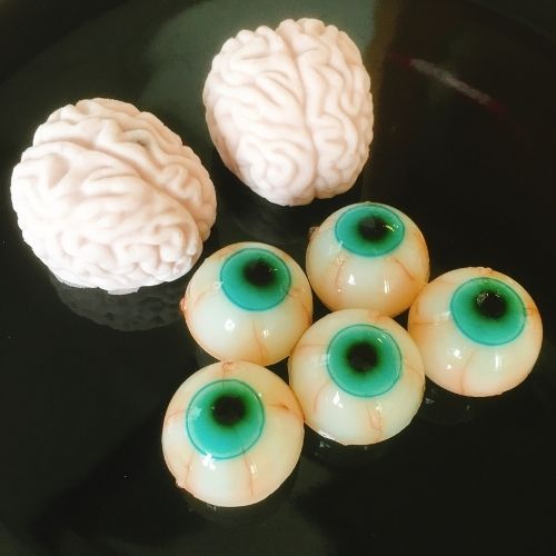 【ふるさと納税】 目玉ゼリーと脳みそレアチーズ