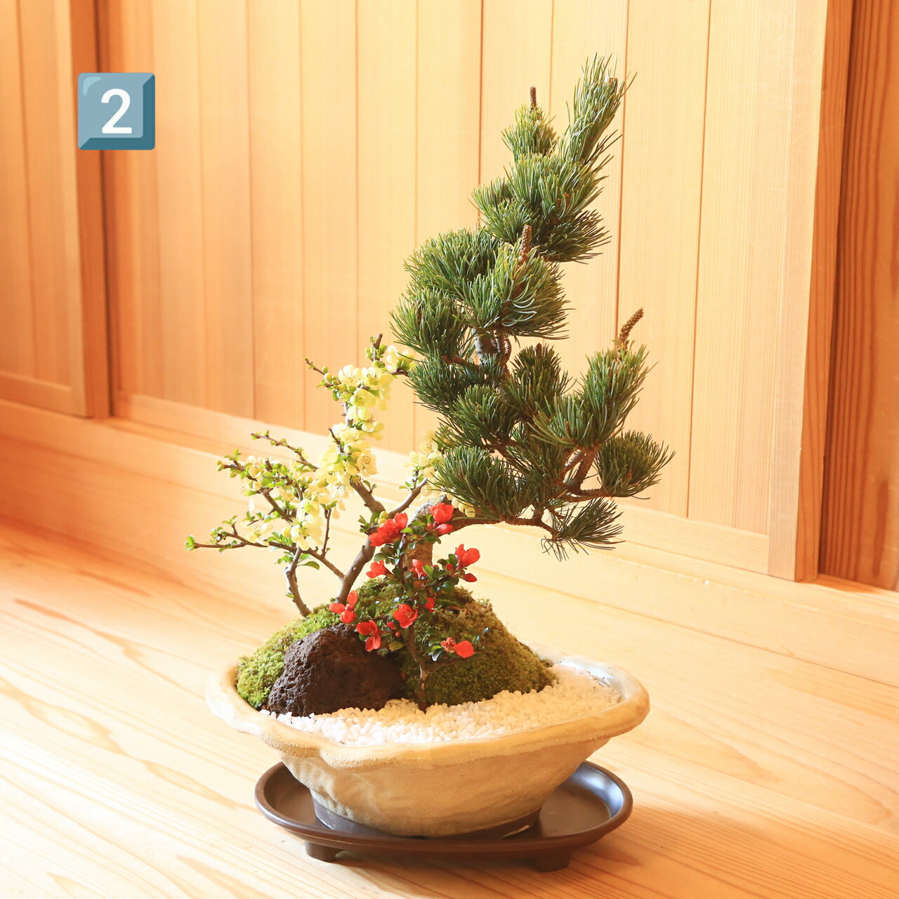 【ふるさと納税】養庄園 季節の寄せ植え盆栽 サムネイル3