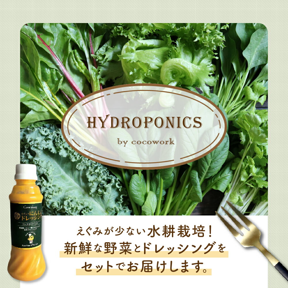 【ふるさと納税】【内容量が選べる】ココワーク の 水耕栽培 野菜 500g 1kg ゆず にんじん ドレッシング 付 農薬不使用 さっと洗うだけ 食べやすい 送料無料 お取り寄せ 大阪府 吹田市 - 画像2