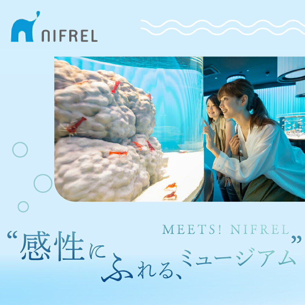 【ふるさと納税】ニフレル 入館券 選べる ( 大人ペア / 親子ペア ) チケット + 500円 × 3枚 カフェクーポン 家族 友人 夫婦 恋人 親子 デート 入館券 ミュージアム 博物館 水族館 動物園 美術館 カフェ 【 大阪府 吹田市 】 サムネイル2