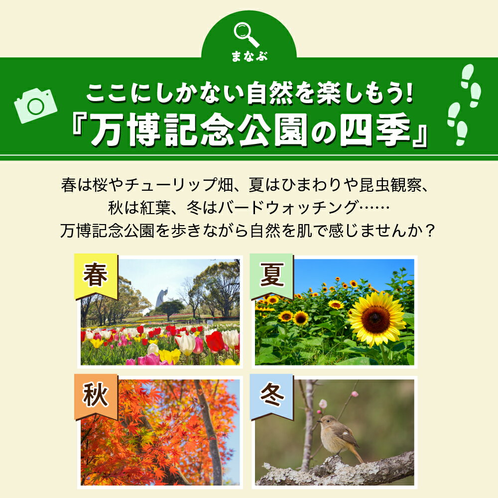 【ふるさと納税】万博 記念 公園 特別 利用券 【 万博オール パスポート コース 】 チケット パスポート 招待券 入園券 入場券 大人 1年間 入園 無料 アウトドア 大阪府 吹田市 サムネイル3