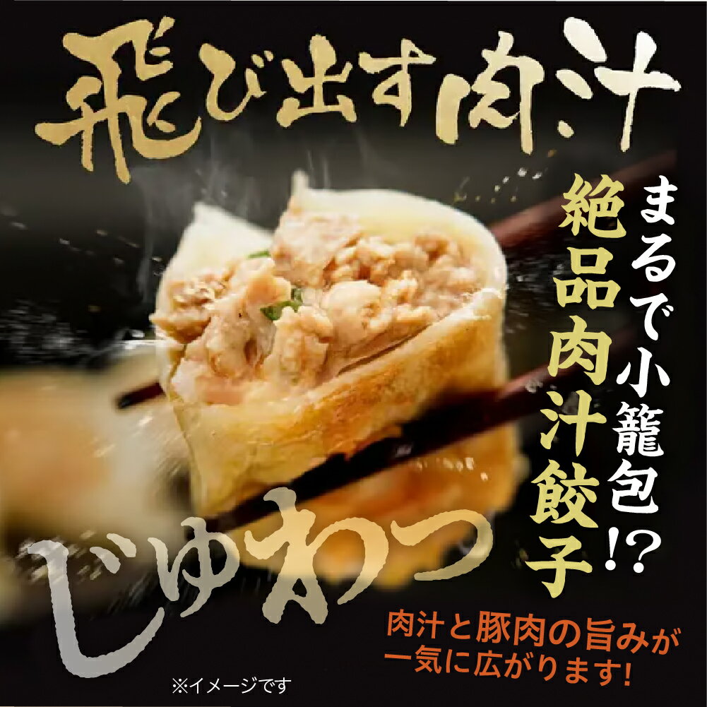 【ふるさと納税】 選べる個数（セット数） 絶品 肉汁餃子 20個 or 30個 or 60個（10個入り 2〜 6セット・たれ付き ）＋赤女将 ごま香ラー油 1本 餃子 セット 中華 惣菜 おかず おつまみ 冷凍 簡単調理 送料無料 【大阪府吹田市】 サムネイル2