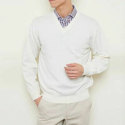 【ふるさと納税】日本製 カシミヤ100% Vセーター 白 Mサイズ｜敬老の日 ギフト 誕生日プレゼント 贈り物 父の日 母の日 [2511] サムネイル2