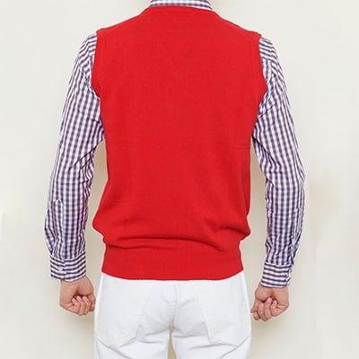 【ふるさと納税】日本製 カシミヤ100% Vベスト 赤 Lサイズ｜敬老の日 ギフト 誕生日プレゼント 贈り物 父の日 母の日 [2518] サムネイル3