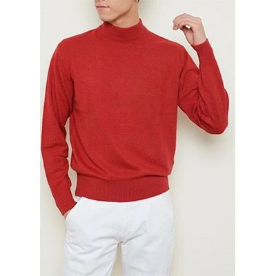 【ふるさと納税】日本製 カシミヤ100% ハイネック 赤 2Lサイズ｜敬老の日 お歳暮 御歳暮 贈答品 ギフト 誕生日プレゼント 贈り物 父の日 母の日 お年賀 寒中見舞い クリスマス お見舞 [2533] サムネイル2