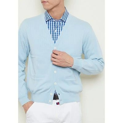 【ふるさと納税】日本製 カシミヤ100% カーディガン サックス Lサイズ｜敬老の日 お歳暮 御歳暮 贈答品 ギフト 誕生日プレゼント 贈り物 父の日 母の日 お年賀 寒中見舞い クリスマス お見舞 [2522] サムネイル2