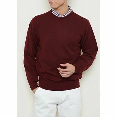 【ふるさと納税】日本製 カシミヤ100% 丸首セーター ワイン Sサイズ｜敬老の日 お歳暮 御歳暮 贈答品 ギフト 誕生日プレゼント 贈り物 父の日 母の日 お年賀 寒中見舞い クリスマス お見舞 [2544] サムネイル2
