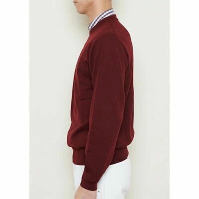 【ふるさと納税】日本製 カシミヤ100% 丸首セーター ワイン Sサイズ｜敬老の日 お歳暮 御歳暮 贈答品 ギフト 誕生日プレゼント 贈り物 父の日 母の日 お年賀 寒中見舞い クリスマス お見舞 [2544] サムネイル3