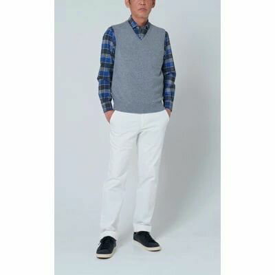 【ふるさと納税】日本製 カシミヤ100% Vベスト ライトグレー Sサイズ｜敬老の日 お歳暮 御歳暮 贈答品 ギフト 誕生日プレゼント 贈り物 父の日 母の日 お年賀 寒中見舞い クリスマス お見舞 [2549] サムネイル2