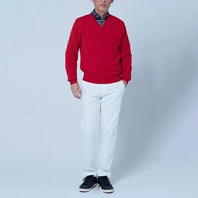 【ふるさと納税】日本製 カシミヤ100% Vセーター 赤 Mサイズ｜敬老の日 ギフト 誕生日プレゼント 贈り物 [2606] サムネイル2